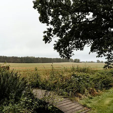 Wild Nature Experience And Art In New Setting Хорнбек