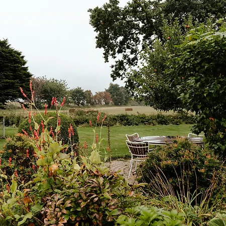 Wild Nature Experience And Art In New Setting