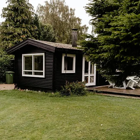 Wild Nature Experience And Art In New Setting *