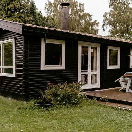 Wild Nature Experience And Art In New Setting Хорнбек