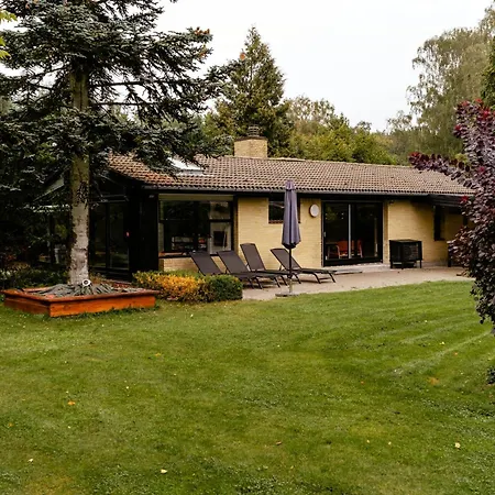 Wild Nature Experience And Art In New Setting * Хорнбек