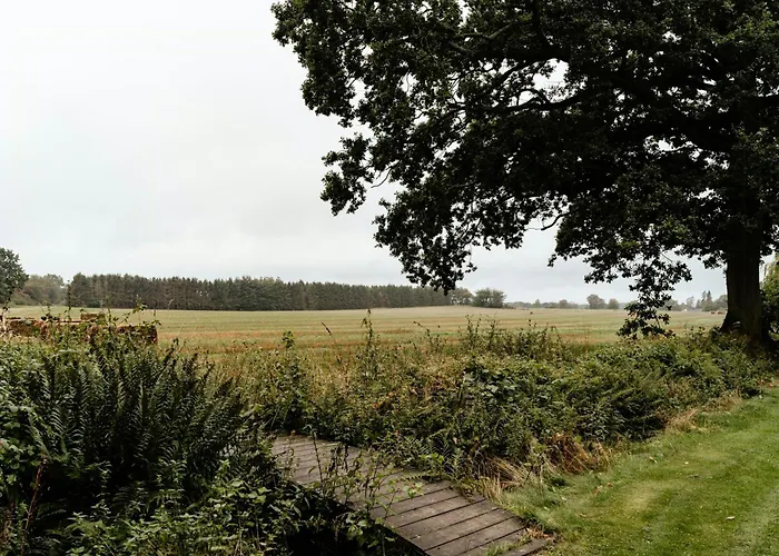 Wild Nature Experience And Art In New Setting Hornbæk