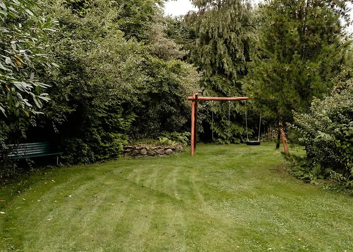 Wild Nature Experience And Art In New Setting